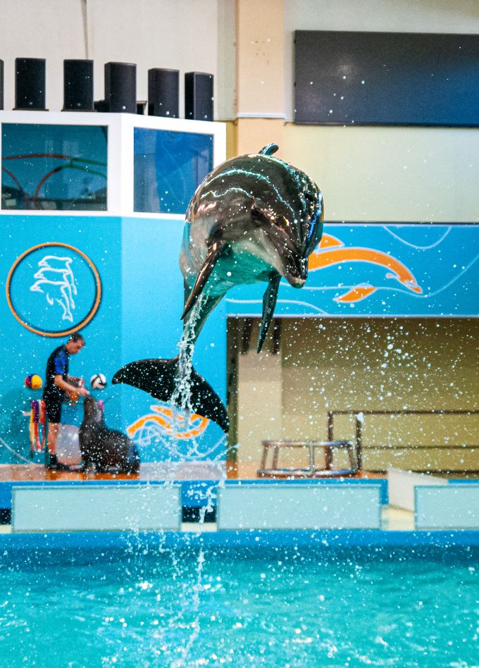 Геленджикский Дельфинарий