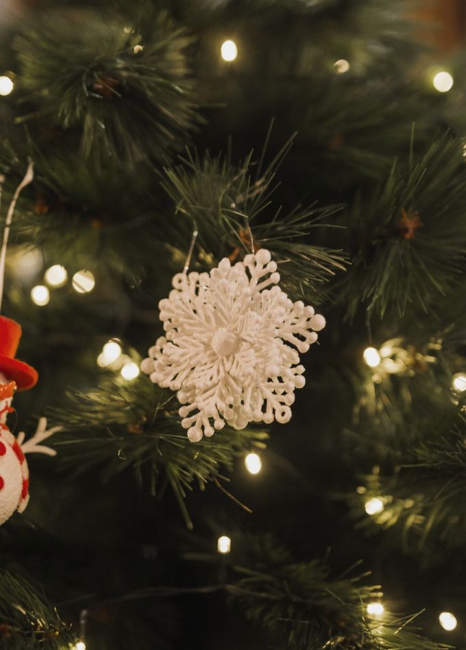 Носорог и Жирафа