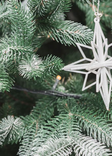 Улитка и кит